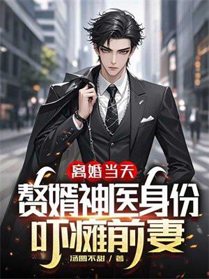 离婚当天,赘婿神医身份吓瘫前妻 离婚当天,赘婿神医身份吓瘫前妻