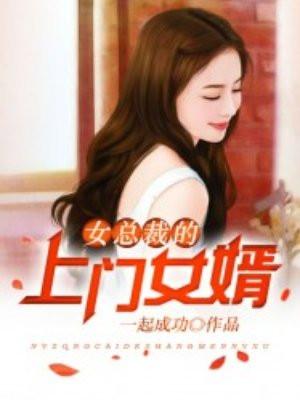 女总裁的上门女婿(又名超级上门女婿) 女总裁的上门女婿(又名超级上门女婿)