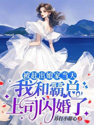 被赶出娘家当天,我和霸总上司闪婚了 被赶出娘家当天,我和霸总上司闪婚了