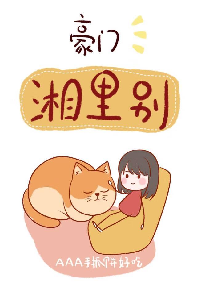 我在日本当文豪TXT