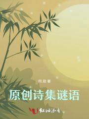 原创诗集谜语