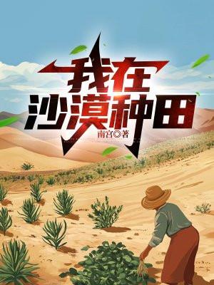 乱世情缘 乱世情缘