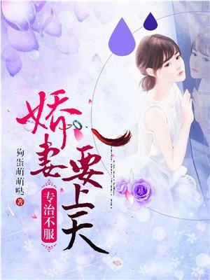 专治不服:娇妻要上天 专治不服:娇妻要上天