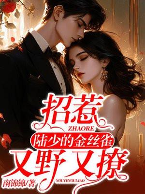 招惹:陆少的金丝雀又野又撩 招惹:陆少的金丝雀又野又撩