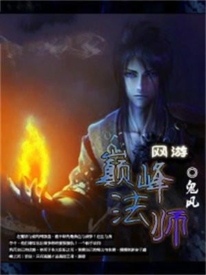 网游之巅峰法师 网游之巅峰法师