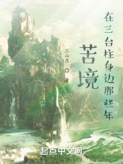 苦境:在三台柱身边那些年 苦境:在三台柱身边那些年