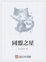 同盟之星 同盟之星