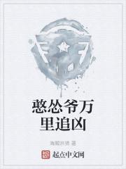 憨怂爷万里追凶 憨怂爷万里追凶