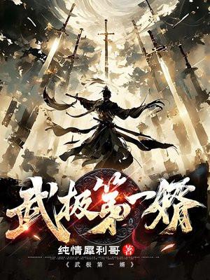 武极第一婿 武极第一婿