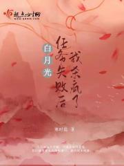 揉碎月光免费阅读