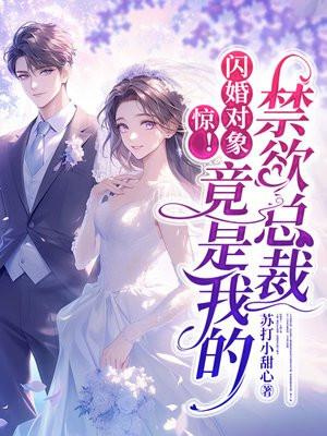 惊!闪婚对象竟是我的禁欲总裁 惊!闪婚对象竟是我的禁欲总裁