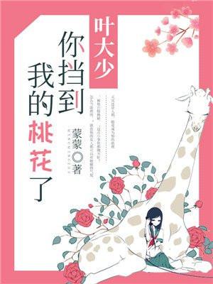 叶大少,你挡到我的桃花了 叶大少,你挡到我的桃花了