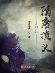 隋唐风云:护唐英豪 隋唐风云:护唐英豪