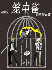 命运拼图 浩天流星