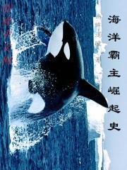 海洋霸主崛起史 海洋霸主崛起史