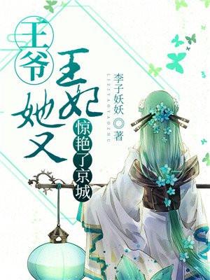 王爷,王妃她又惊艳了京城 王爷,王妃她又惊艳了京城
