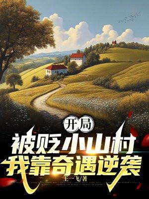 王爷生小孩