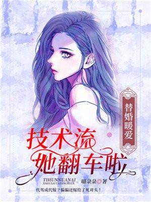 替婚暖爱:技术流她翻车啦 替婚暖爱:技术流她翻车啦