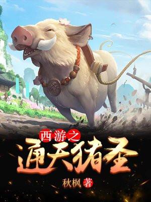 西游之通天猪圣 西游之通天猪圣