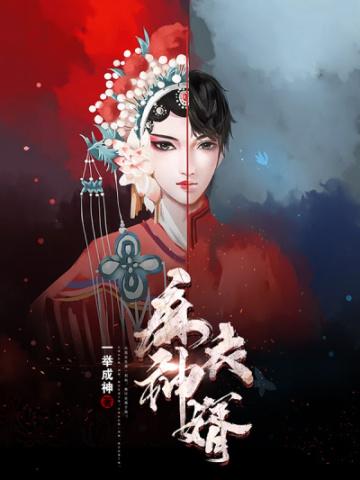 麻衣神婿 麻衣神婿
