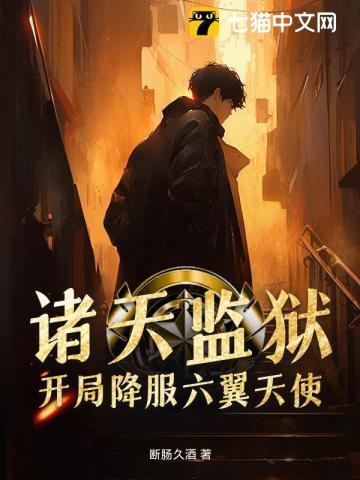 沈小姐电视剧叫什么名字 沈小姐电视剧叫什么名字