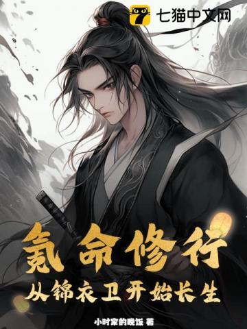 华娱1997 起点 华娱1997 起点