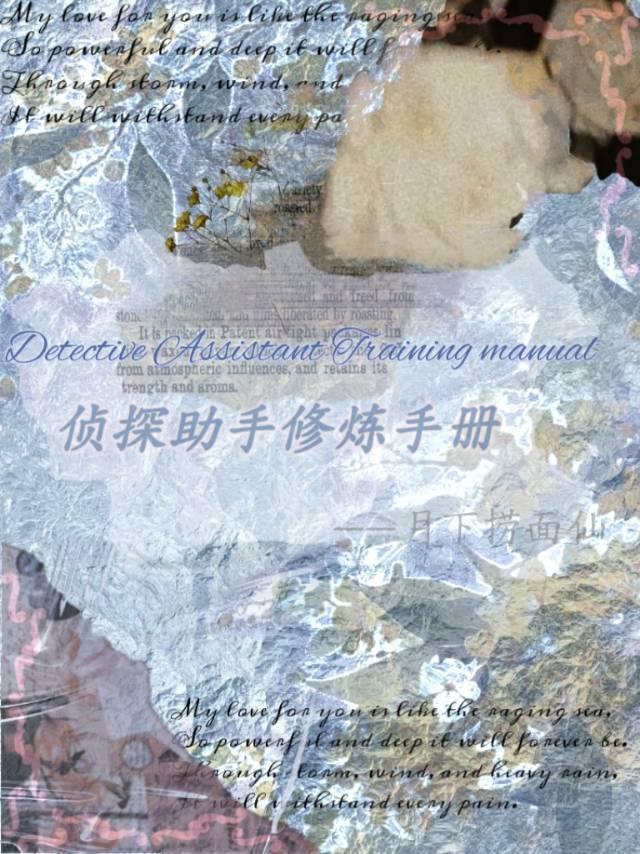 侦探助手修炼手册 侦探助手修炼手册