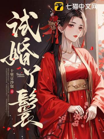试婚丫鬟 试婚丫鬟