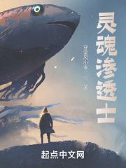 灵魂渗透士 灵魂渗透士