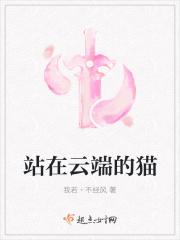 站在云端的猫 站在云端的猫