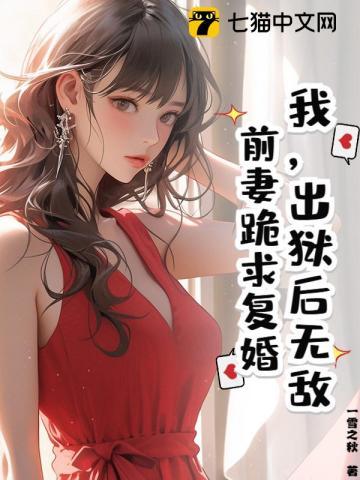 大唐枭龙传