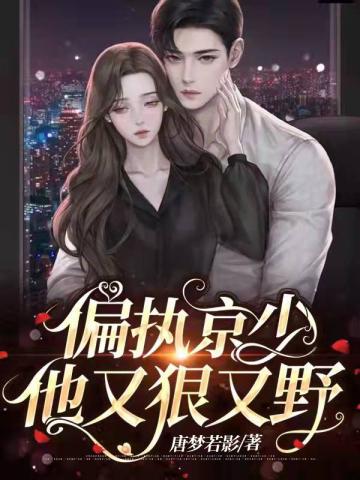 大唐打贼王