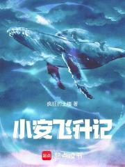 大景巡夜人 藕池猫咪 大景巡夜人 藕池猫咪