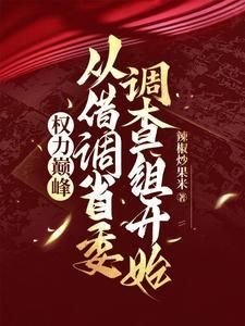 权力巅峰:从借调省委调查组开始 权力巅峰:从借调省委调查组开始
