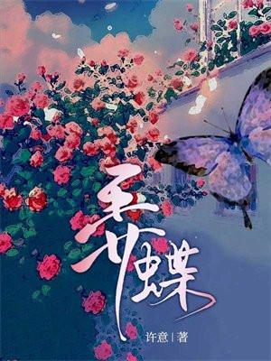 弄蝶 弄蝶