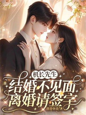 机长先生,结婚不见面,离婚请签字 机长先生,结婚不见面,离婚请签字
