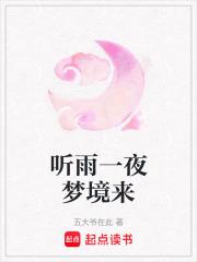 听雨一夜梦境来 听雨一夜梦境来