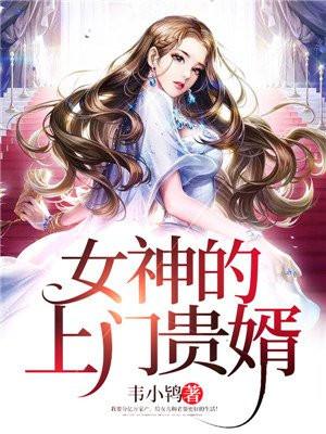女神的上门贵婿 女神的上门贵婿