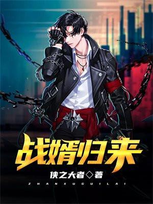 战婿归来 战婿归来
