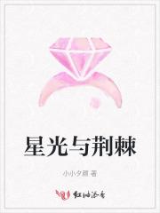 星光与荆棘 星光与荆棘