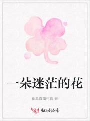 一朵迷茫的花 一朵迷茫的花