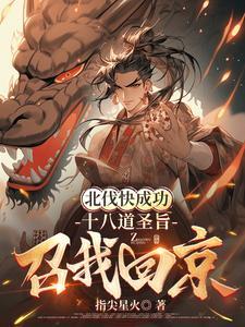 北伐快成功,十八道圣旨召我回京 北伐快成功,十八道圣旨召我回京