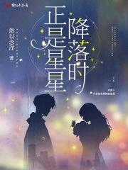 正是星星降落时