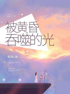 被黄昏吞噬的光 被黄昏吞噬的光