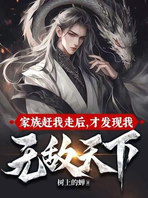 家族赶我走后,才发现我无敌天下 家族赶我走后,才发现我无敌天下