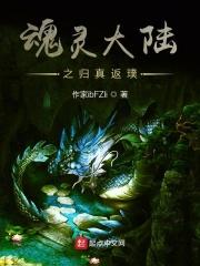 魂灵大陆之归真返璞 魂灵大陆之归真返璞
