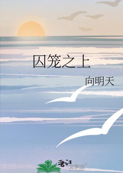 囚笼之上 囚笼之上