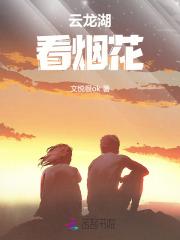 云龙湖看烟花 云龙湖看烟花
