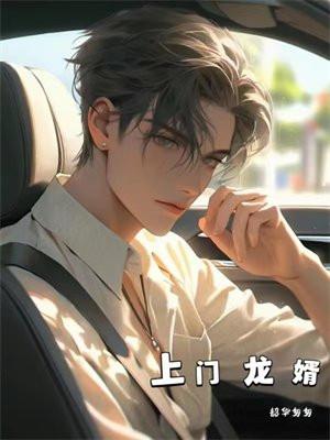 上门龙婿 上门龙婿
