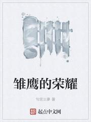 雏鹰的荣耀 雏鹰的荣耀